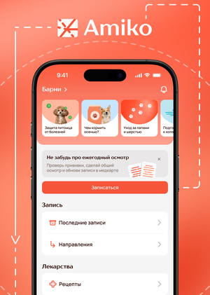 Amiko — цифровой паспорт для питомца