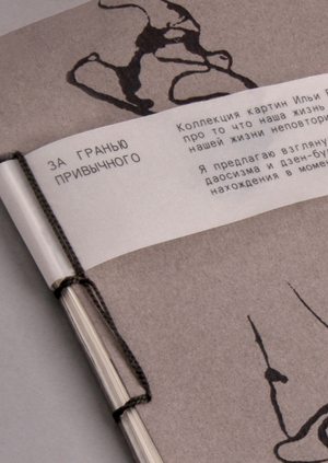 Зин. За гранью привычного