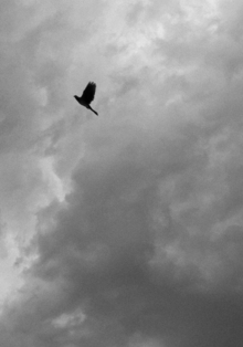 Соединение мифологии и современного искусства