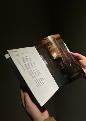 Южный берег