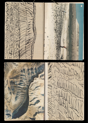 Путешествие вдоль берега. Зин-воспоминание. 