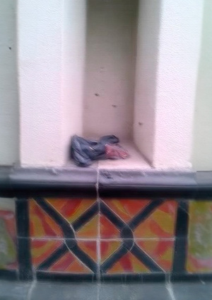 СЛЕДЫ_ПРИСУТСТВИЯ_2012_