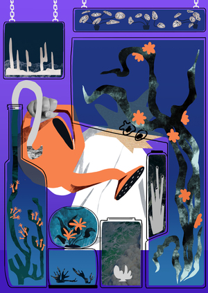 Сам себе праздник