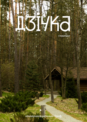 коммуникационный бриф Дзічка