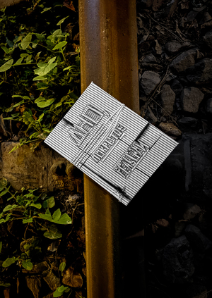 Дно, покрытое рельсами |=|