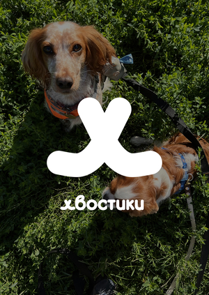 Хвостики — коммуникационный бриф