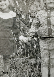 Предисловие