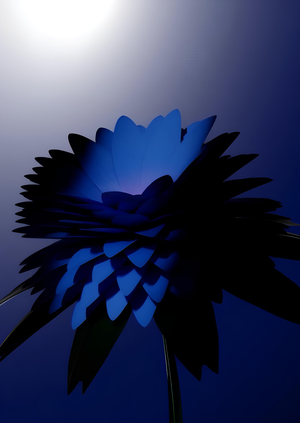 Пробуждение