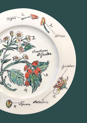 Роспись фарфора