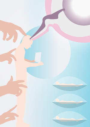 Центр сохранения сознания имени Марико Мори «Вечный разум»