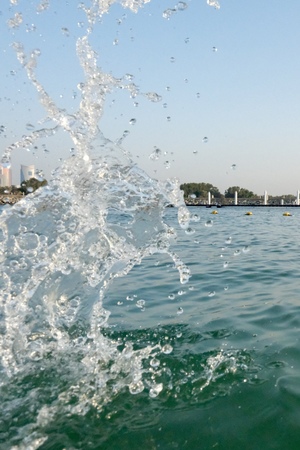 Современная фотография