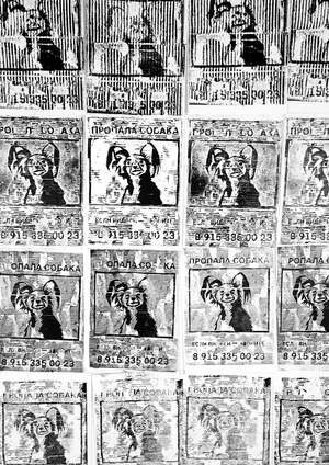 пропала собака пропала собака пропала собака