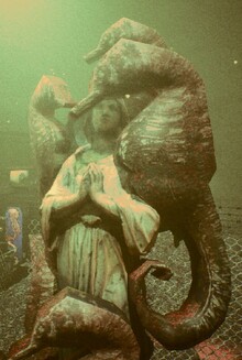 Hippocampus