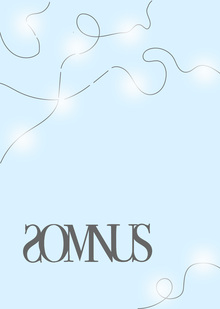 SOMNUS&nbsp;— академия снов