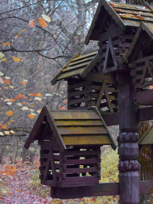 Эксперименты 1 модуля. Современная фотография