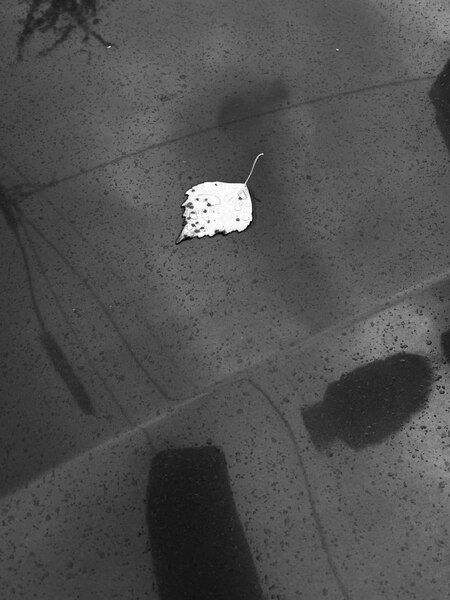 Современная фотография 