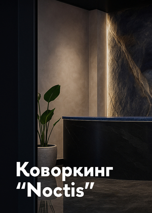 Коворкинг “Noctis”