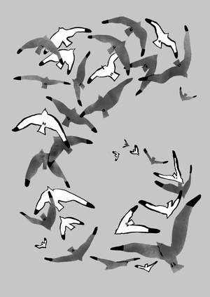 Городские птицы