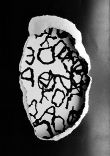 Fault font Fault font