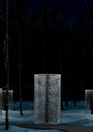 БОГАТЫРСКИЙ ЛЕС