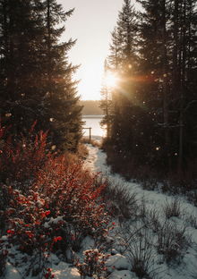 Путь Северной звезды