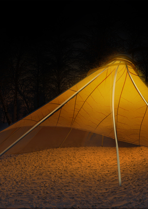 Световая инсталляция для "Барской усадьбы"