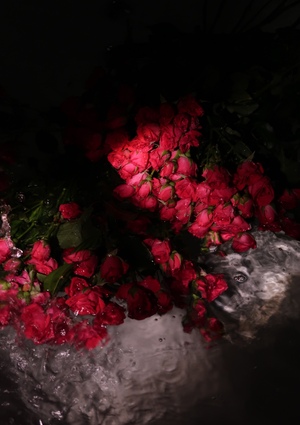 Лепестки откровений