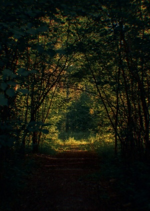 Окажись в сказке