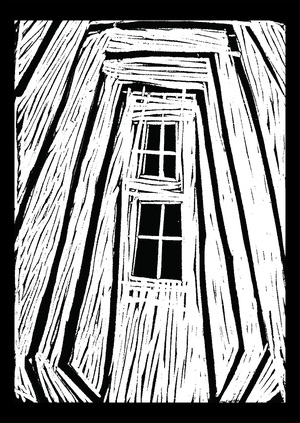 Линии Санкт-Петербурга