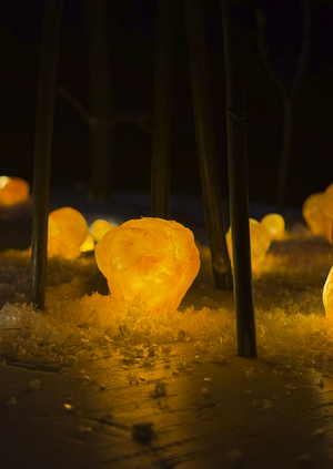 «PULSAR». Световая инсталляция