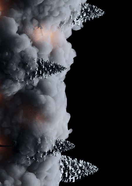 Проект световой инсталляции "Дух леса"