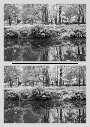 После объективности