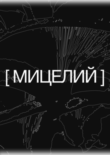 грибная кожа | лонгрид