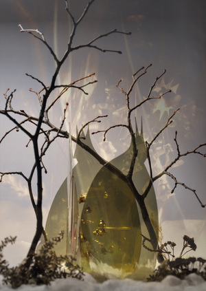 Звезда глядела через порог