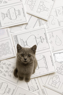 Практические задания по технологиям дизайна