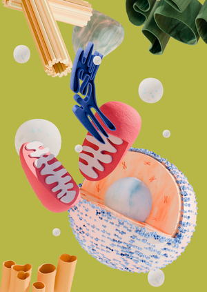 Механический театр-игрушка "Эукариотическая клетка"