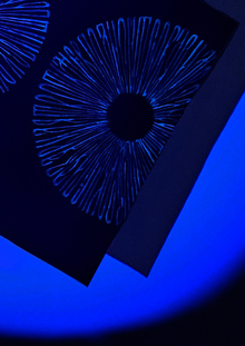 Ночные Бестии