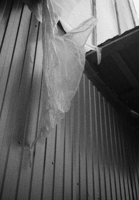 Невыносимая легкость бытия