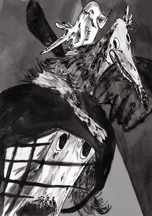 На старт, внимание, гав!