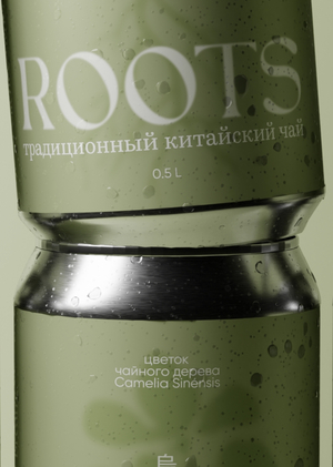 Дизайн упаковки для ROOTS