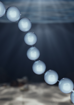 что осталось у воды