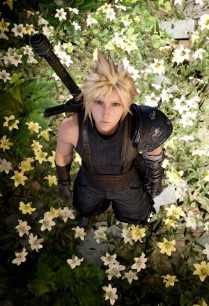 Анатомия стадий горя: Final Fantasy