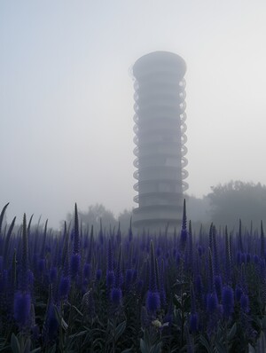 Концепция сада «Зона прорастания»