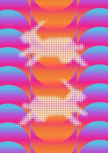HOLOZOO HOLOZOO