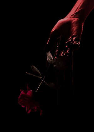 Киностудия "VIBROCILproduction"