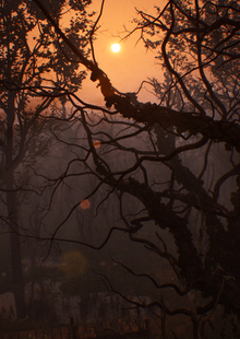 Lonely Dawn