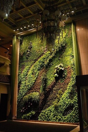 Патрик Бланк; визуальное исследование творчества мастера