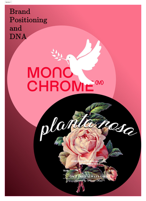 Позиционирование и ДНК брендов Monochrome и Planta Rosa