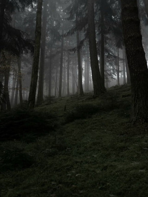 Music Has No Boundaries