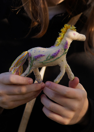 Лошадка-спутник